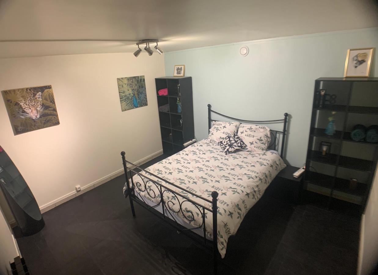 Appartement Cosy Proche Roissy Cdg Asterix Disneyland Paris غوسافْييل المظهر الخارجي الصورة