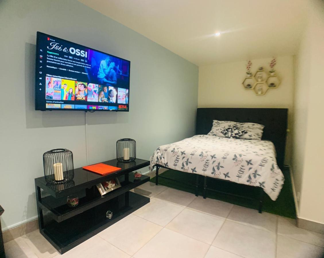 Appartement Cosy Proche Roissy Cdg Asterix Disneyland Paris غوسافْييل المظهر الخارجي الصورة